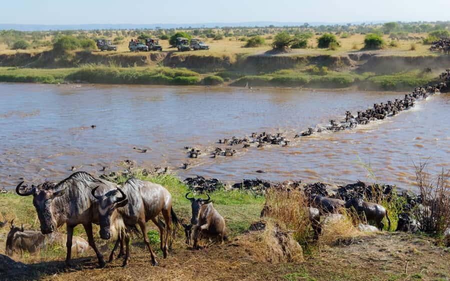 From Nairobi: Maasai Mara 3Day Budget Safari Holiday on Jeep - Leaving Nairobi for the Great Rift Valley