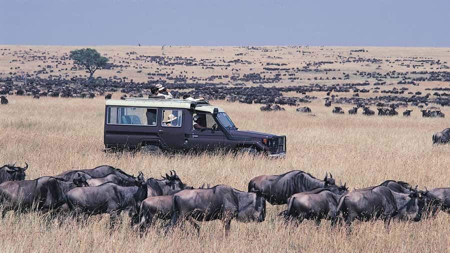 From Nairobi: Masai Mara 3-day Camping Safari by Jeep - What the $285 price really buys you