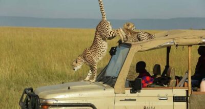 Masai Mara 3-day Camping Safari by Jeep