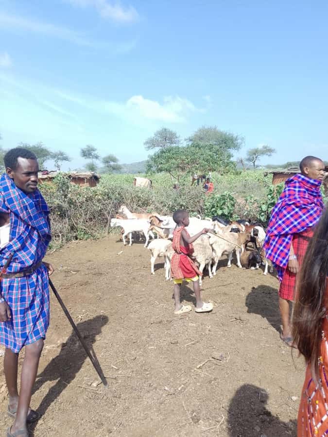 From Nairobi: Masai Tribe Village Visit - What the $52 price really covers