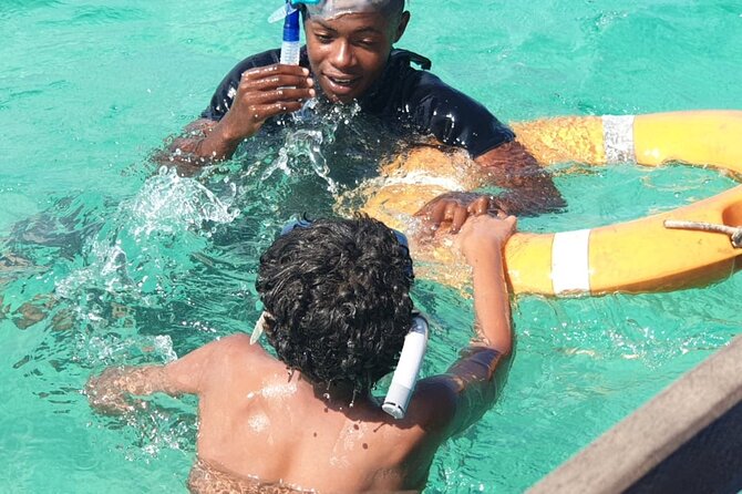 Full Day Dolphin Watching with Snorkeling in Wasini - What $113 includes, and where the value lies