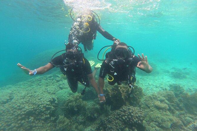 Full Day Dolphin Watching with Snorkeling in Wasini - Mkwiro Village and the human side of Wasini