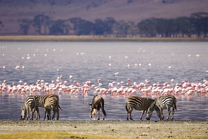 Full-Day Lake Nakuru National Park from Nairobi - What this day at Lake Nakuru is really like