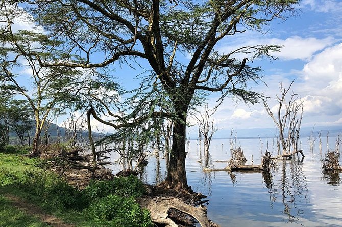 Full-Day Lake Nakuru National Park from Nairobi - Lunch and a rest at Lake Nakuru Lodge