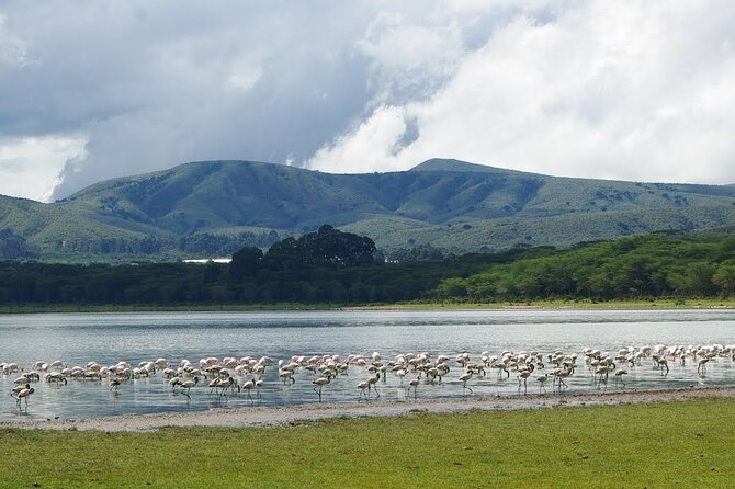 Full-Day Lake Nakuru National Park Private Tour from Nairobi - Lunch at Lake Nakuru Lodge or a picnic