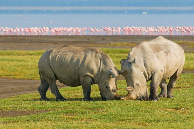 Full-Day Lake Nakuru National Park Private Tour from Nairobi - The optional Lake Naivasha boat ride