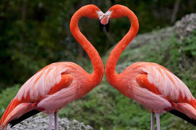 Full-Day Lake Nakuru National Park Private Tour from Nairobi - The Great Rift Valley view at 20 minutes