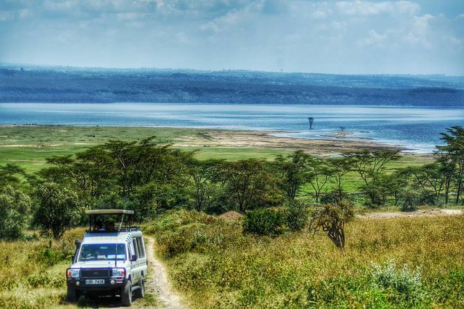 Full Day Lake Nakuru Park and optional boat ride on Lake Naivasha - Lunch at Lake Nakuru Lodge