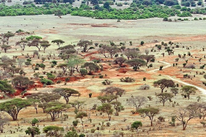 Full Day Private Tour of Tsavo East National Park from Mombasa - What the private vehicle adds