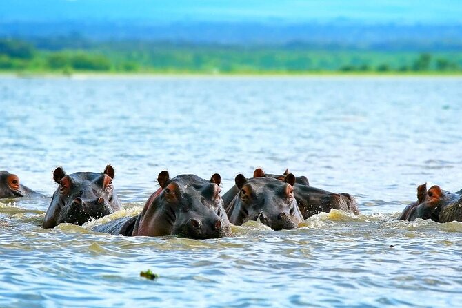 Full day private tour to Hells Gate National park from Nairobi. - What the $80 price really covers