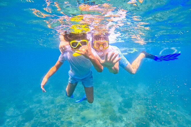 Full-Day Special Wasini Island Tour with Snorkeling and Lunch - Kisite-Mpunguti: the best reason to go