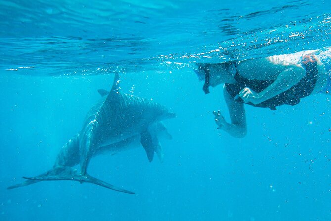Full-Day Special Wasini Island Tour with Snorkeling and Lunch - Wasini Island lunch and the Coral Garden