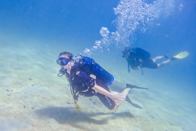 Full-Day Special Wasini Island Tour with Snorkeling and Lunch - Price, group size, and the real value