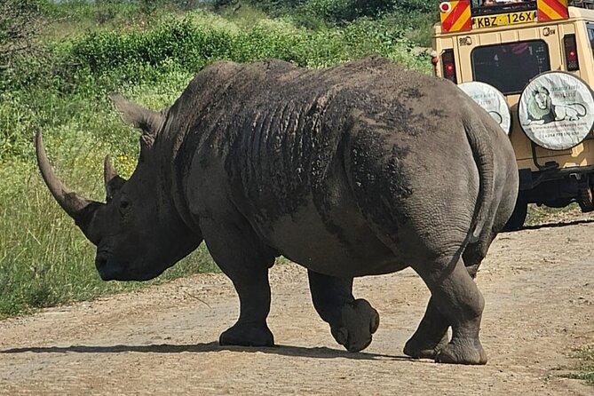 Full Day Tour in Amboseli National Park from Nairobi - Lunch at Oltukai and the afternoon exit drive