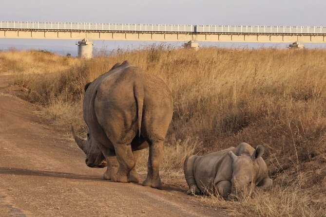 Full Day Tour in Amboseli National Park from Nairobi - The Maasai village visit and the cultural side of the day