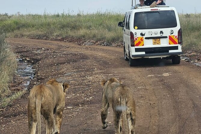 Full Day Tour in Amboseli National Park from Nairobi - What the $140 price really covers