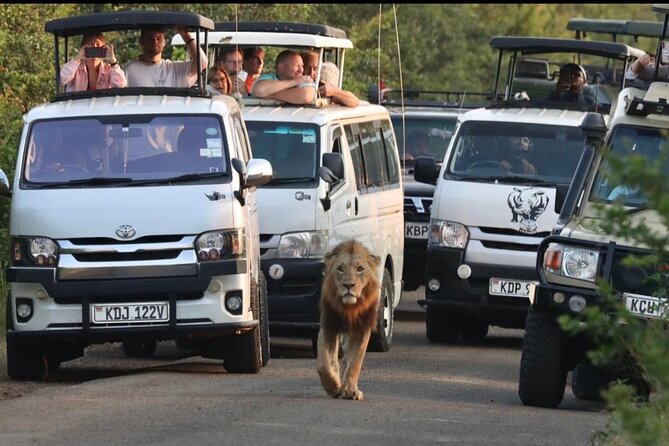 Full Day Tour in Amboseli National Park from Nairobi - Who will enjoy this day most