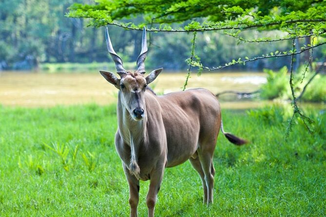 Full day tour in Mombasa - What this Mombasa day tour is really like