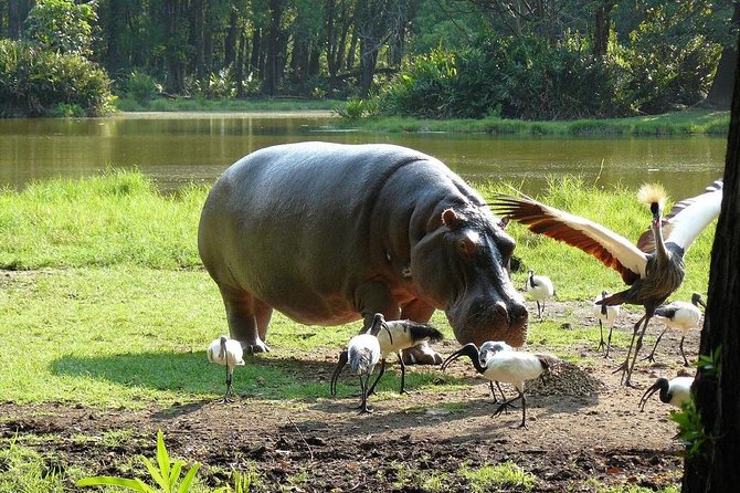 Full-Day Tour of Mombasa - Haller Park and the former cement quarry