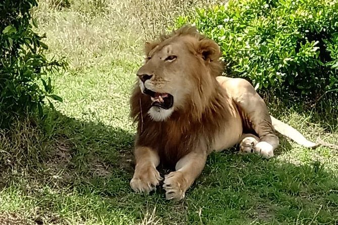 Full Day Tour to Amboseli National Park - Entering Amboseli around 9:00 am