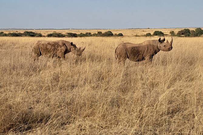 Full Day tour to Lake Nakuru National Park From Nairobi - Leaving the park at about 2:00pm