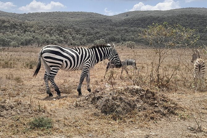 Full Day tour to Lake Nakuru National Park From Nairobi - Lake Naivasha by motorboat