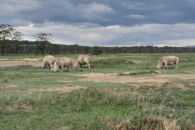 Full Day tour to Lake Nakuru National Park From Nairobi - Who will get the most from this day