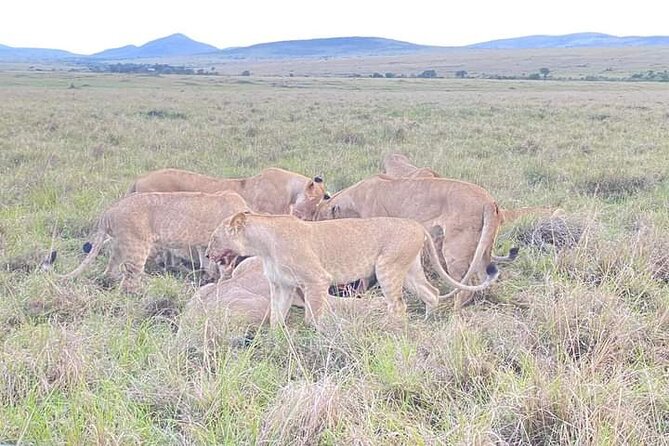 Full Day tour to Lake Nakuru National Park From Nairobi - The 6:00am pickup and the road to the Rift Valley