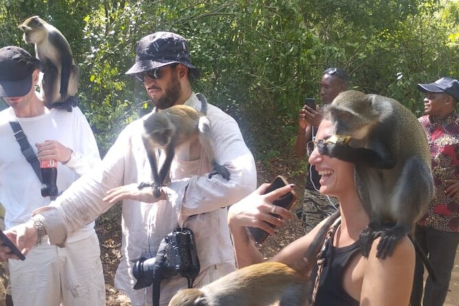 Gede Ruins & Malindi Tour - What Juma’s Feedback Tells You