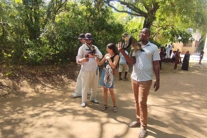 Gede Ruins & Malindi Tour - Who Will Get the Most From This Tour