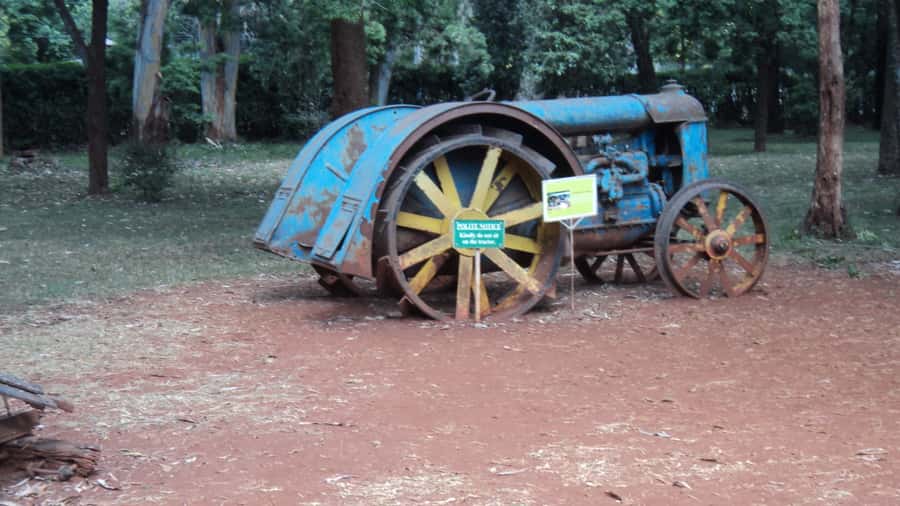 Giraffe Center and Karen Blixen Museum Tour from Nairobi - Why this Nairobi half-day tour works