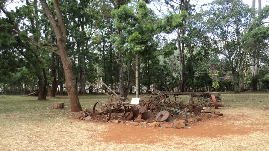 Giraffe Center and Karen Blixen Museum Tour from Nairobi - How much time you really get