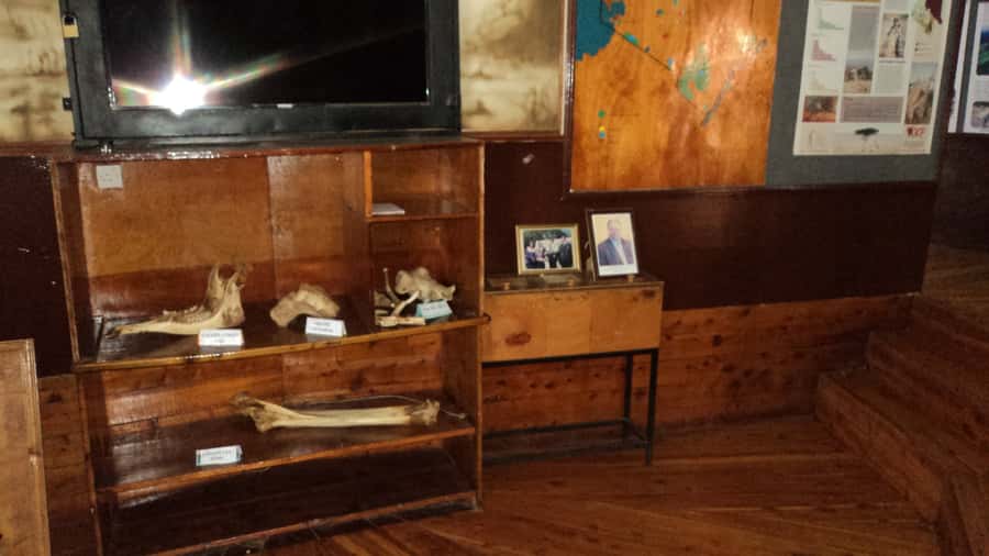 Giraffe Center and Karen Blixen Museum Tour from Nairobi - What to bring and what to leave behind