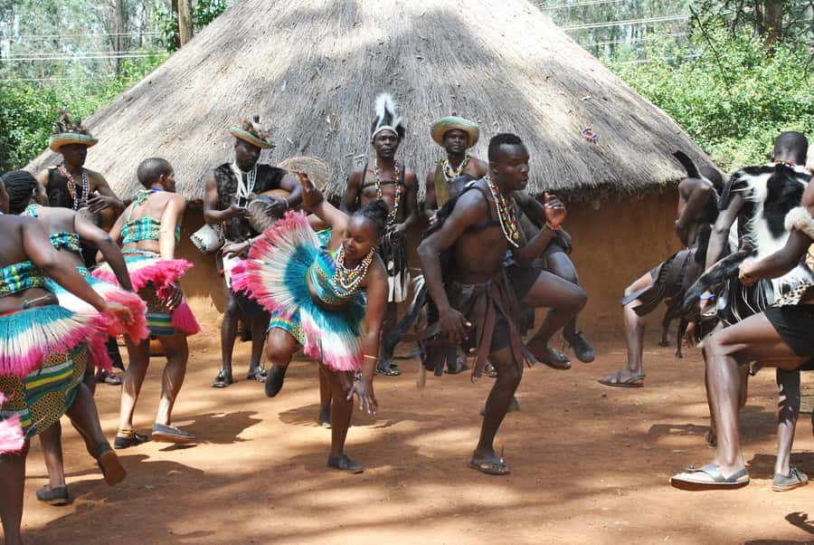 Giraffe Center, Elephant Orphanage and Bomas of Kenya Tour - What the $115 price really covers