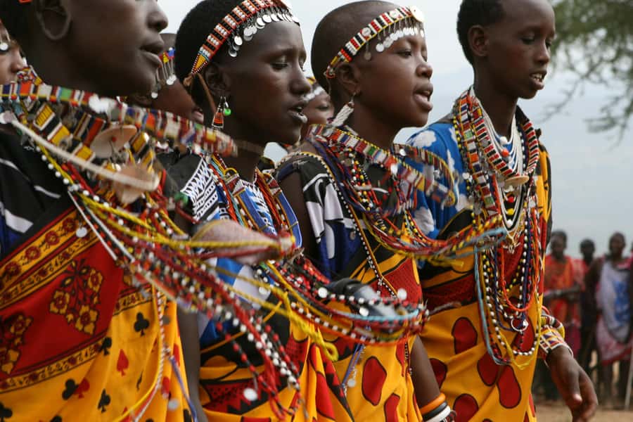 Giraffe Center, Elephant Orphanage and Bomas of Kenya Tour - Who should book this day trip?