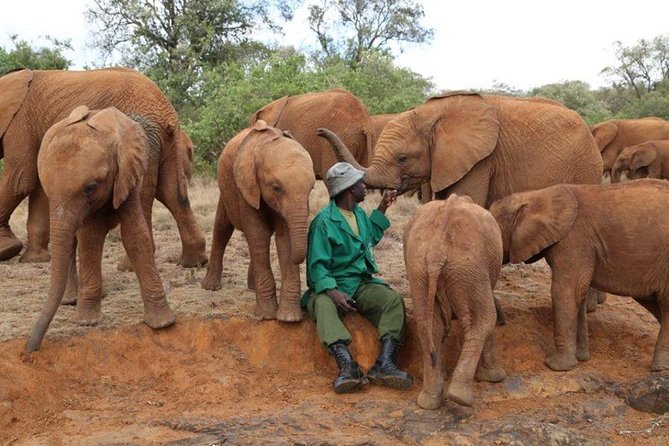 Giraffe Center, Elephant Orphanage, Beads Center & Bomas of Kenya Tour Nairobi - Lunch before the Bomas performance