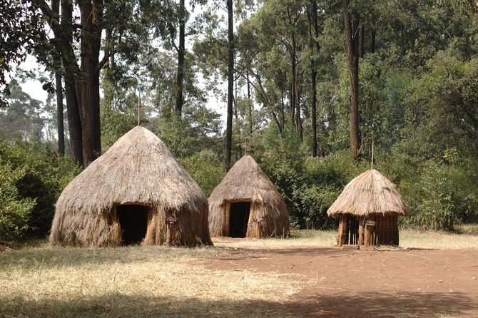 Giraffe Centre and Bomas of Kenya Full-Day Tour from Nairobi - The Giraffe Centre: close contact with Rothschild giraffes