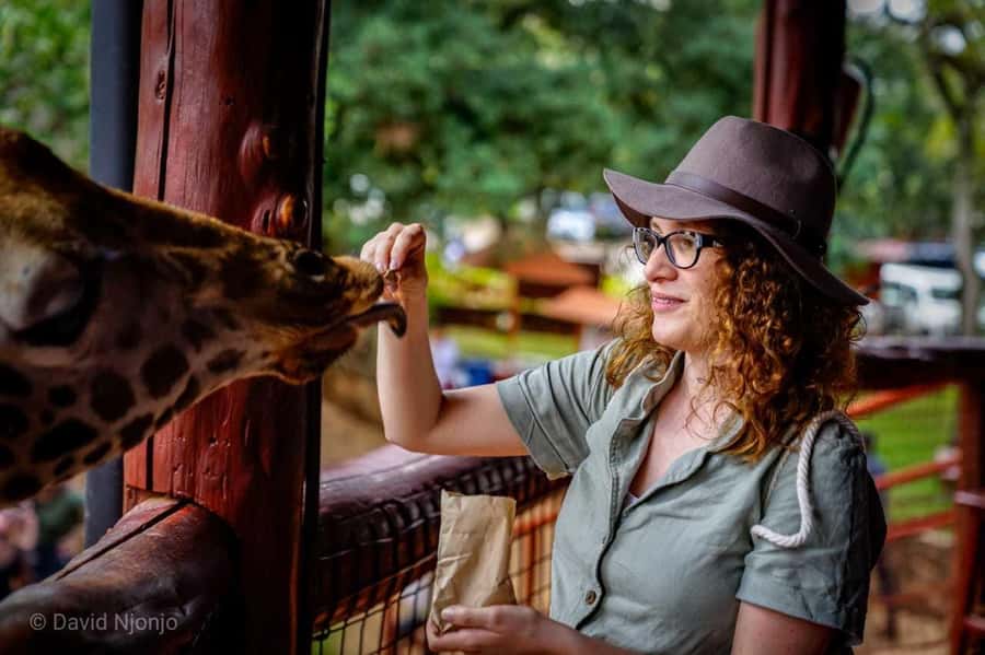 Giraffe, Elephant Orphanage - Hearing each elephant’s story at the orphanage