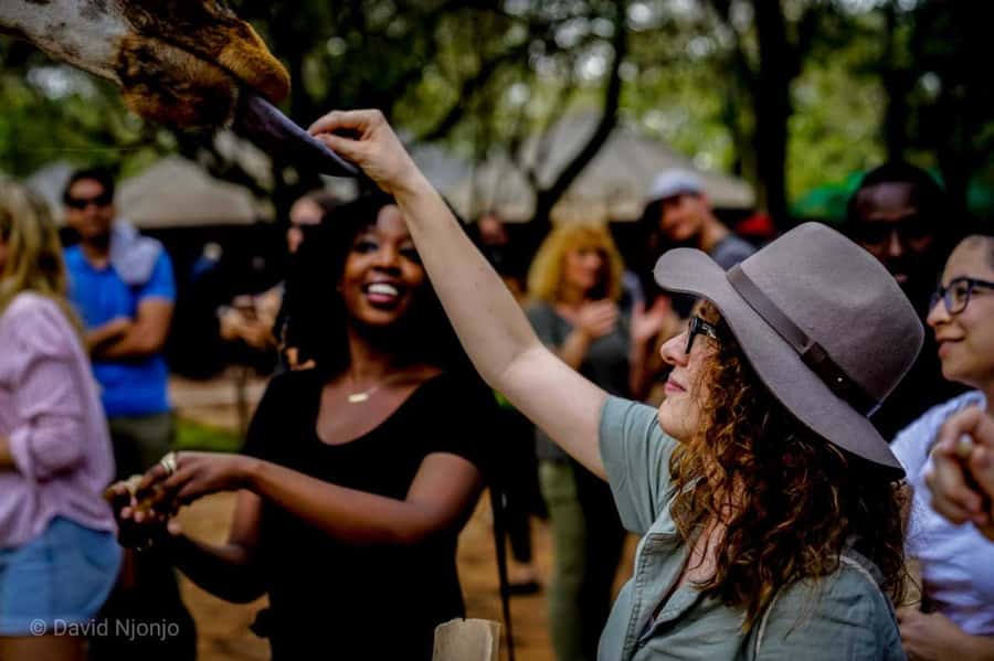 Giraffe, Elephant Orphanage - Meeting Kenya’s endangered Rothschild’s giraffes