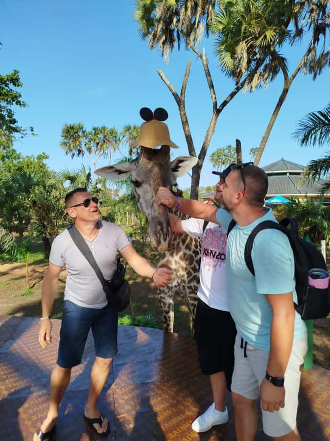 giraffe feeding - A short morning from Diani Beach