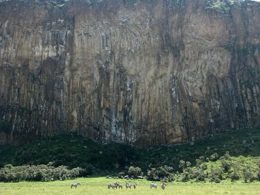 Group joining day tour to Hell's Gate and Lake Naivasha - Lake Naivasha by boat