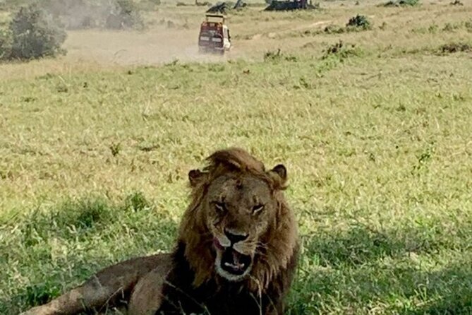 Group Joining Nairobi National Park and Giraffe Center - The real price is $120 per person