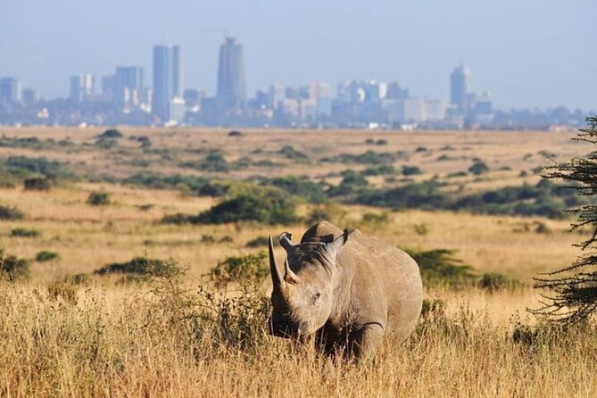Group Joining Nairobi National Park and Giraffe Center - Booking details worth checking first