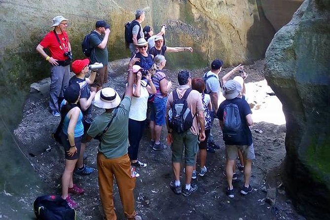 Guided Day Tour Safari of Parks Lake Naivasha and Hells Gate - Lake Naivasha by boat, with hippos and birdlife