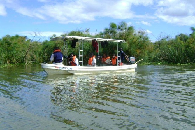 Guided Day Tour Safari of Parks Lake Naivasha and Hells Gate - Zebras and baboons beside the cycling route