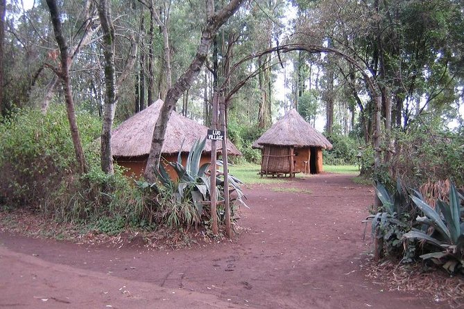 Half-Day Cultural Tour to Bomas of Kenya in Nairobi - Is $95 a fair price for five hours?