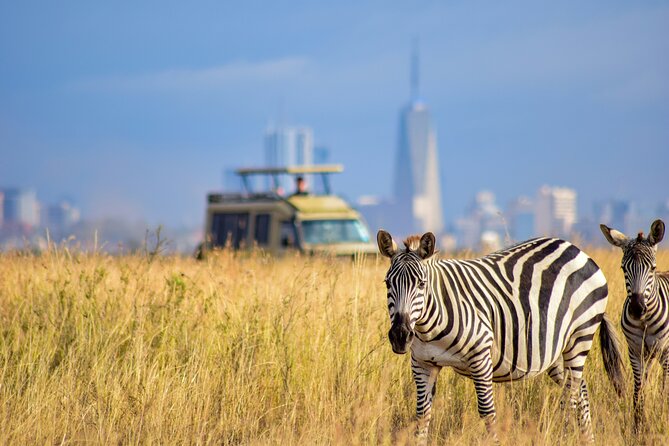 Half Day Nairobi National park - Is $290 per person good value?
