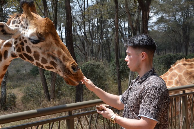 Half-Day Nairobi National Park and Maasai Market with Pick up - The Maasai market turns the second stop into a souvenir hunt