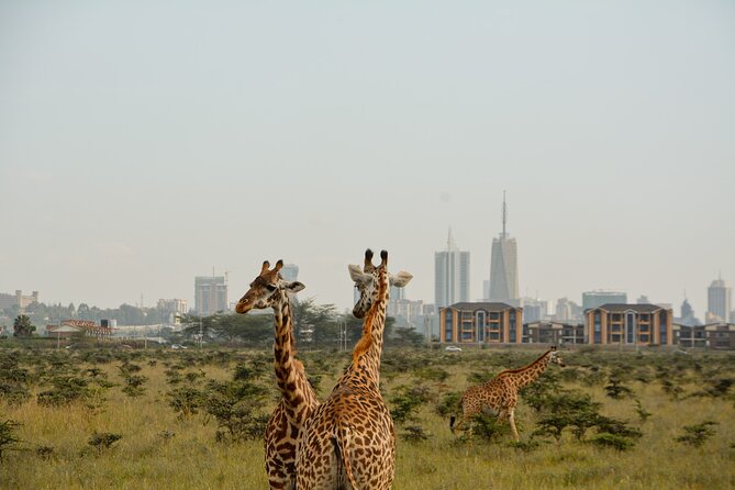 Half-Day Nairobi National Park and Maasai Market with Pick up - The early morning start is the right choice