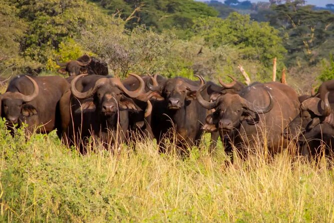 Half-Day Nairobi National Park Private Tour with admission - The optional Kobe Tough Beads and Leather visit
